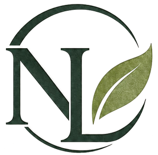 N&L Consultora